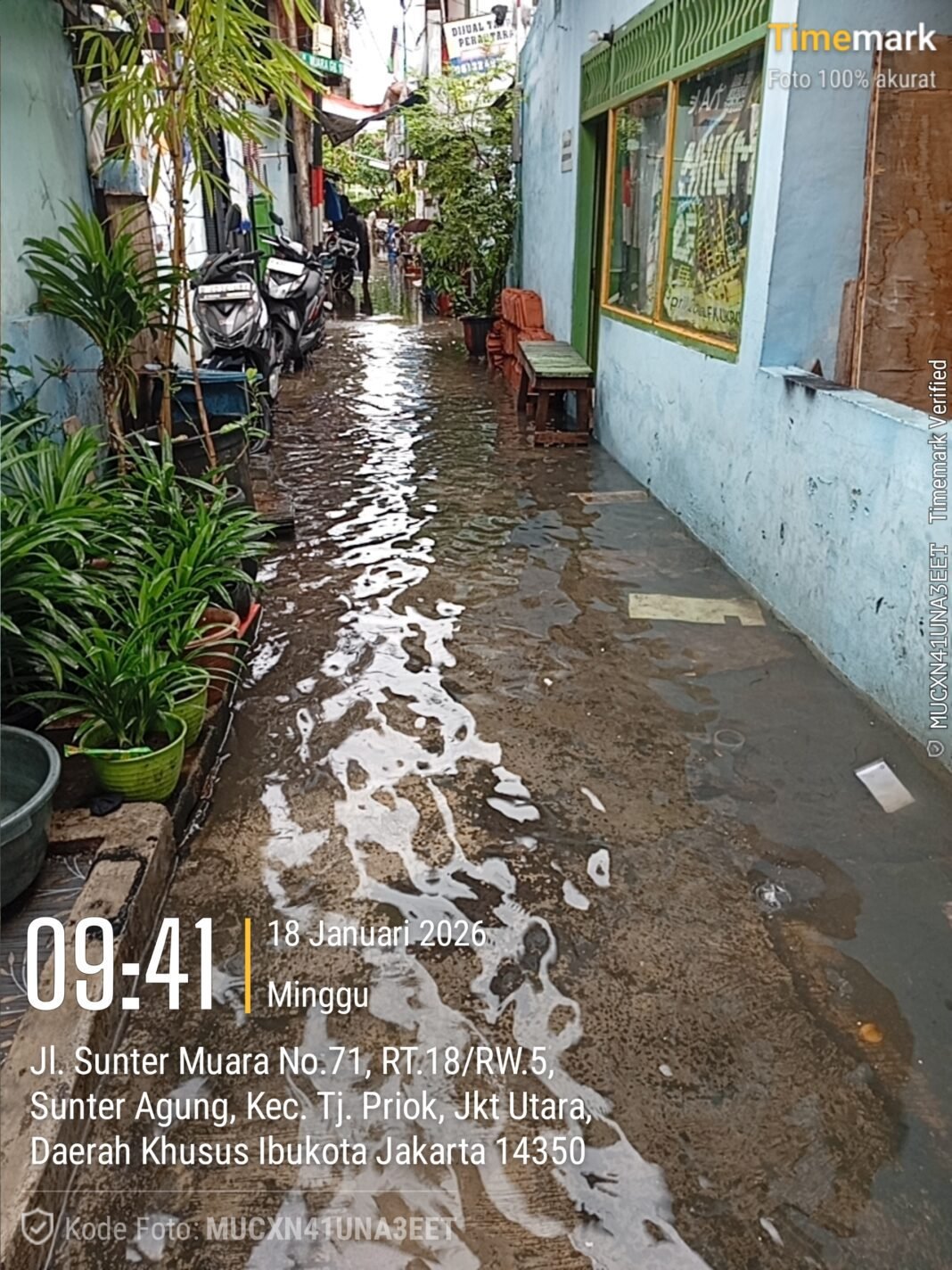 Banjir Genangi Permukiman Warga Sunter Muara, Warga Minta Penanganan Serius