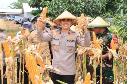 Polres Indramayu Turut Serta Panen Raya Jagung Serentak, Dukung Swasembada Pangan Nasional