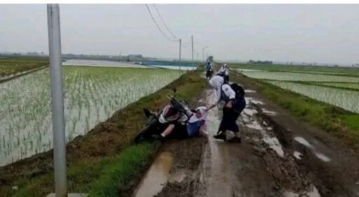 Jalan Rusak Menuju Blok Darim Terisi Ancam Keselamatan Anak Sekolah
