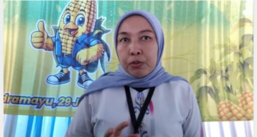 Bulog Cabang Indramayu Dukung Penanaman Jagung Serentak Program Ketahanan Pangan Polda Jabar