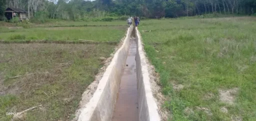 Garap Lahan Pertanian 1.400 Hektare Ini Merupakan Program Oplas Sawah 2024-2025