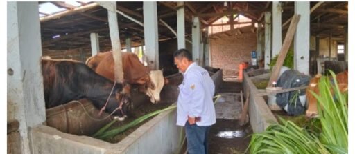 BUMDes Laksana Mandiri Jayalaksana Fokus Perkuat Ketahanan Pangan 2024–2025