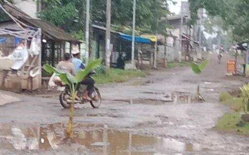 Aksi Tanam Pohon Pisang di Jalan Rusak, Warga Sukaperna Desak Perbaikan Segera