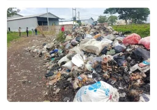 Camat Kedokan Bunder Tinjau Sampah Liar di Depan PT PAS