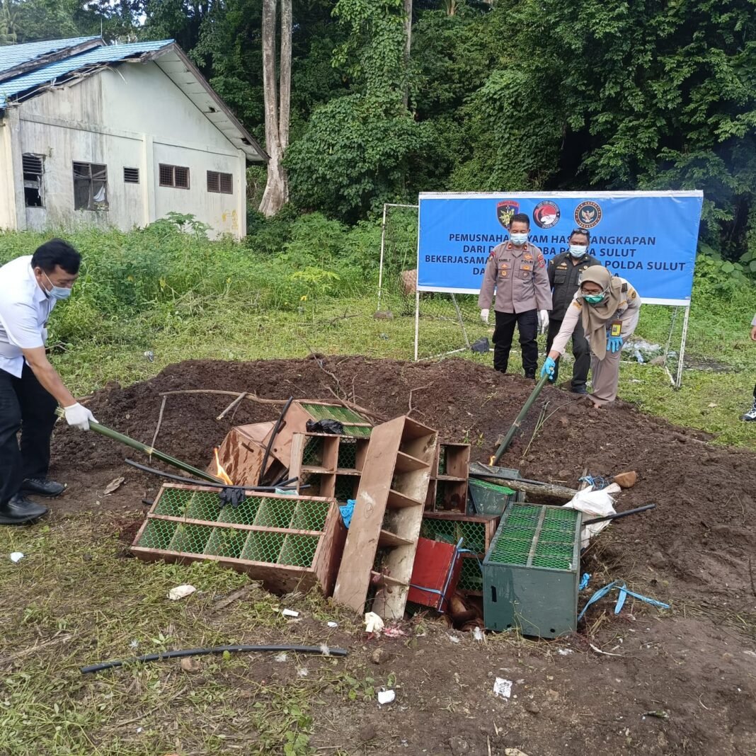 Amankan Wilayah, Polairud Polda Sulut Bersama Karantina Lakukan Destruksi 103 Ekor Ayam