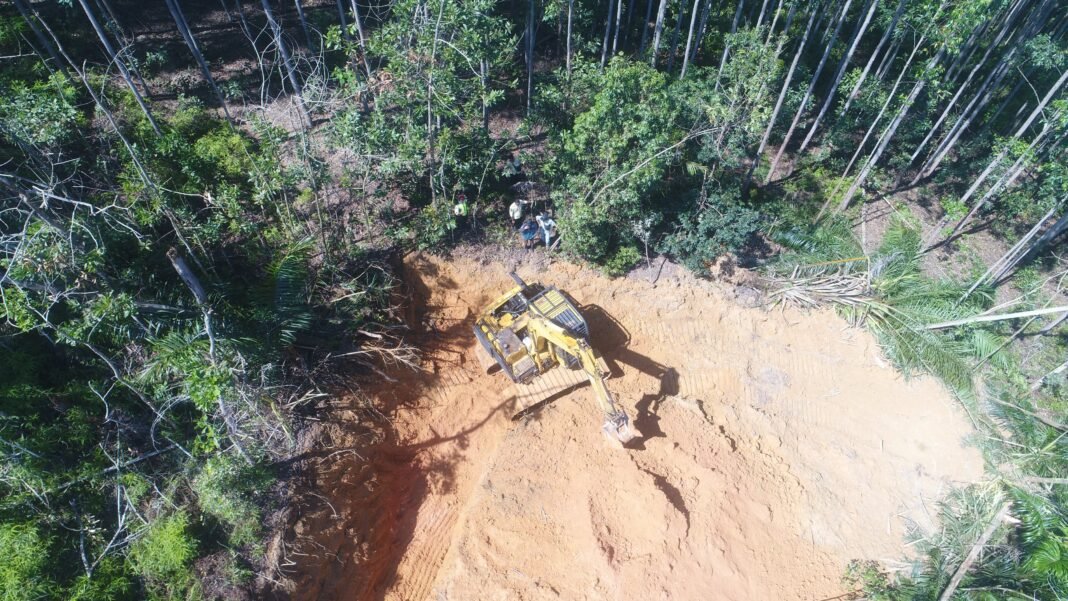 PT. Barapala Acuhkan Hutan Negara, Panen Sawit di Lahan Status Quo PT. Barapala Acuhkan Hutan Negara, Panen Sawit di Lahan Status Quo
