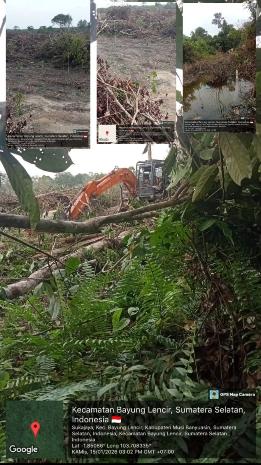 Hutan Produksi Dirambah Jadi Sawit, Pihak Berwenang Dituntut Bertindak Tegas