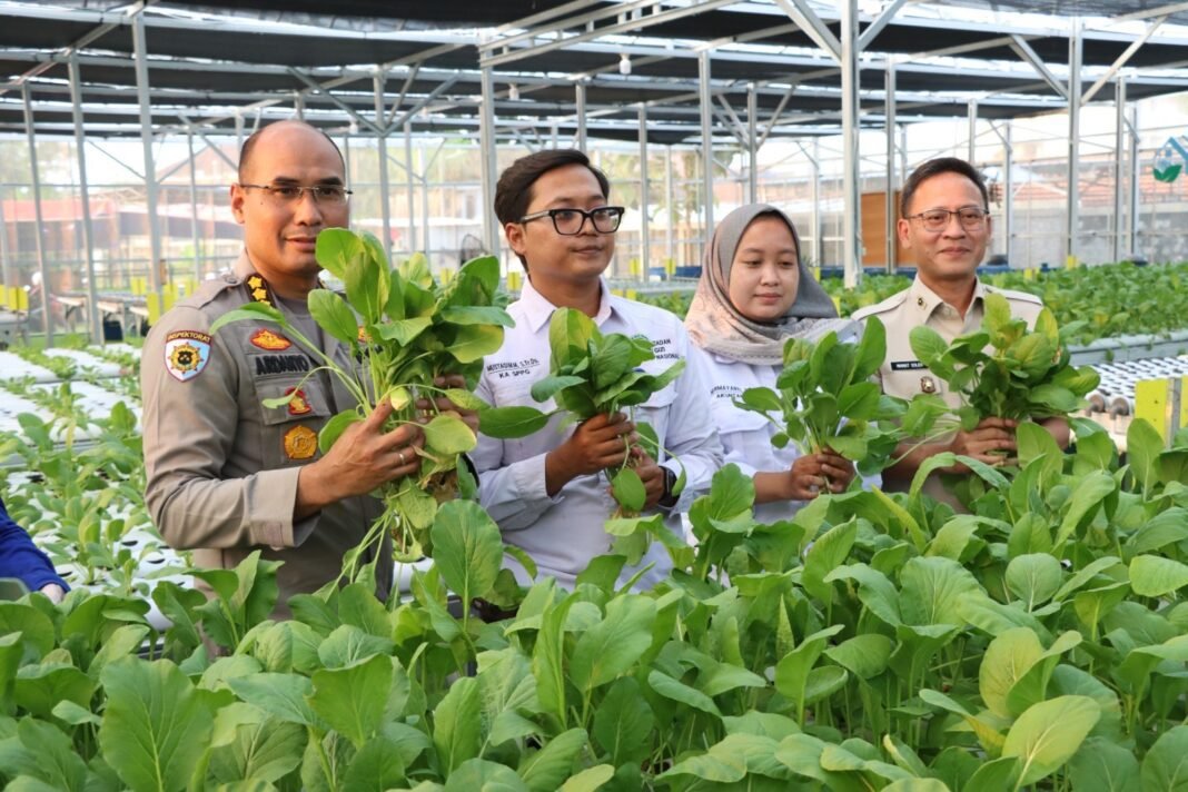 Polda Metro & Polres Jakbar Panen Sawi Hidroponik & Ikan untuk Ribuan Penerima Manfaat SPBG Palmerah