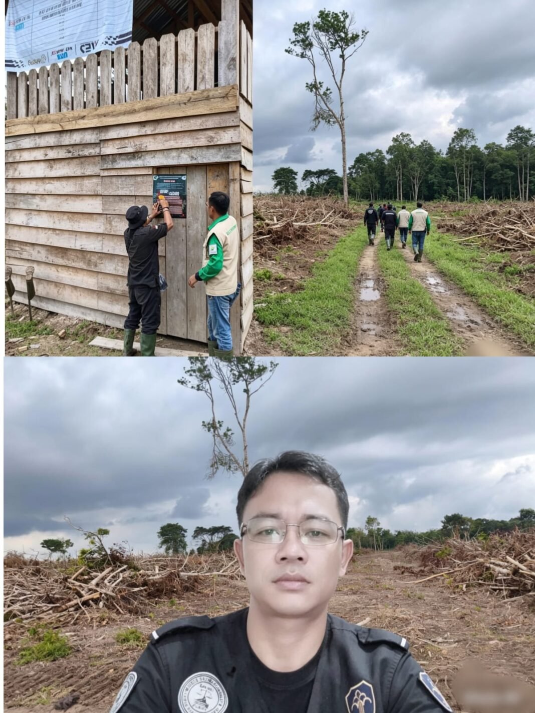 Srianto: Kasus Perambahan Hutan Ladang Panjang Kini Dipegang Polhut Provinsi; Minta Tegas