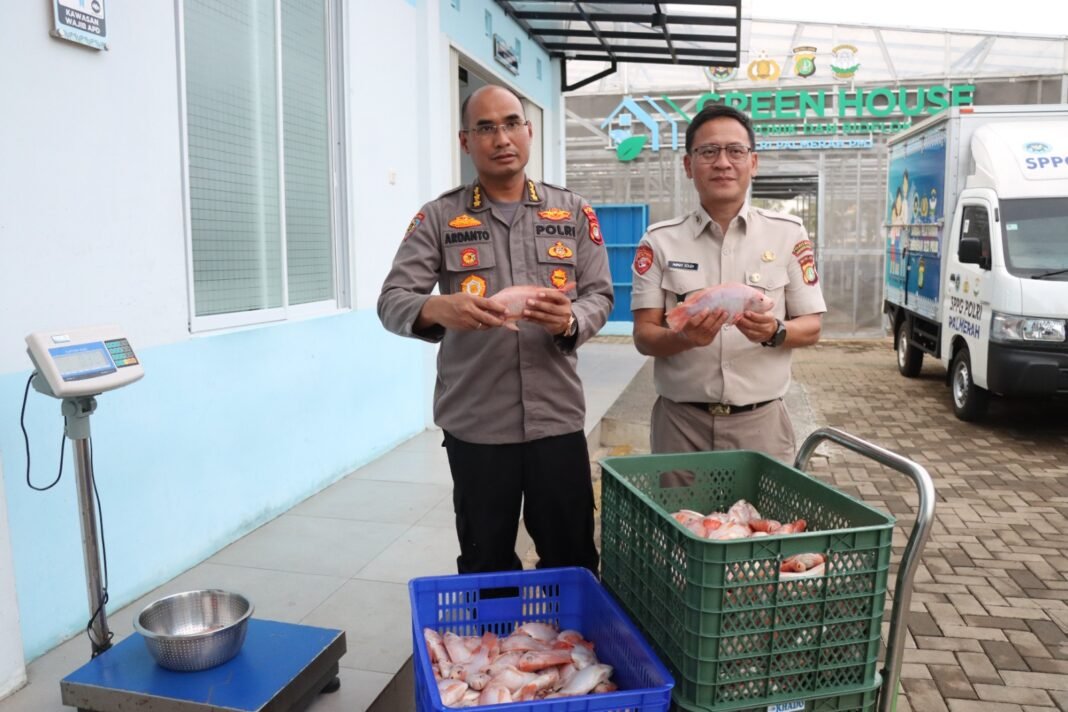 Polda Metro Jaya dan Polres Jakbar Panen 219 Kg Ikan Nila di Greenhouse Palmerah