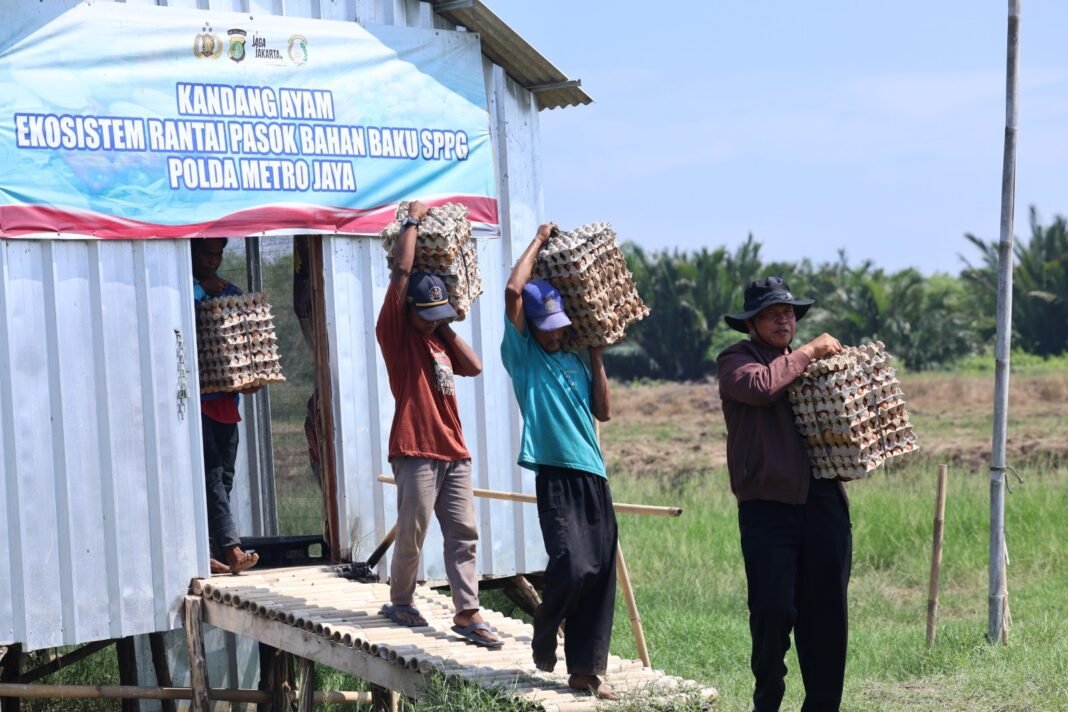 Panen 3.000 Telur di Bekasi, Polda Metro Jaya Salurkan ke SPPG