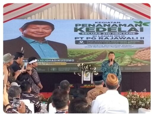 Diperintah Presiden Prabowo, Hashim Hadiri Penanaman Kedelai Nasional di Indramayu Diperintah Presiden Prabowo, Hashim Hadiri Penanaman Kedelai Nasional di Indramayu