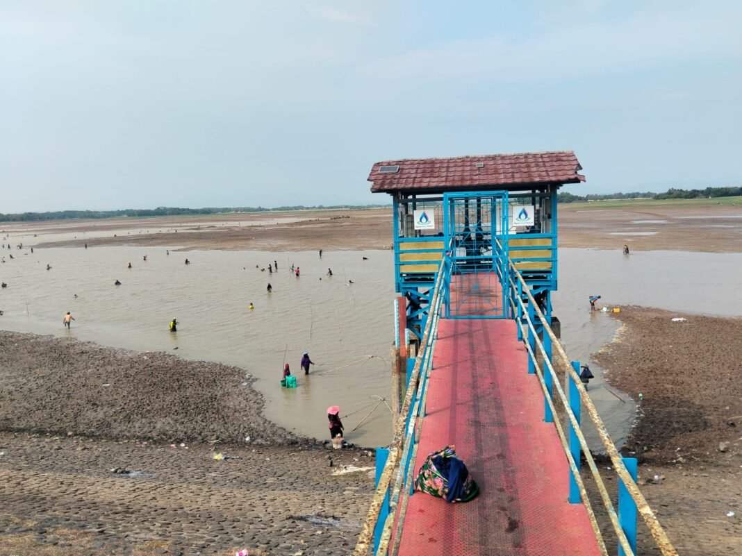 Surutnya Waduk Cipancuh Jadi Berkah Musiman, Ratusan Warga Berbondong-bondong Tangkap Ikan Surutnya Waduk Cipancuh Jadi Berkah Musiman, Ratusan Warga Berbondong-bondong Tangkap Ikan