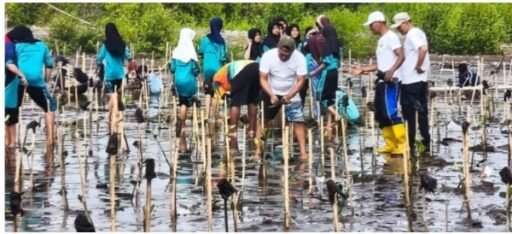 Ratusan Bibit Mangrove Ditanam di Pantai Karangsong, Wujud Kepedulian Jaga Ekosistem Pesisir Indramayu Ratusan Bibit Mangrove Ditanam di Pantai Karangsong, Wujud Kepedulian Jaga Ekosistem Pesisir Indramayu