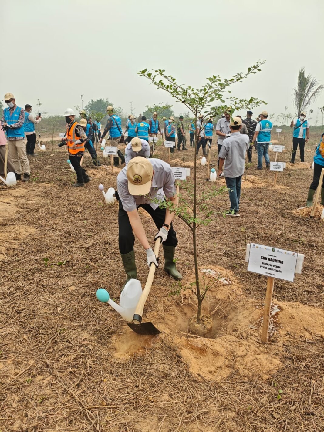 PT GCL Indo Tenaga Tanam Bibit Pohon di Karimunting 800 Meter Pesisir Karimunting Ditata, PT GCL Indo Tenaga Tanam Bibit Pohon di Karimunting 800 Meter Pesisir Karimunting Ditata,
