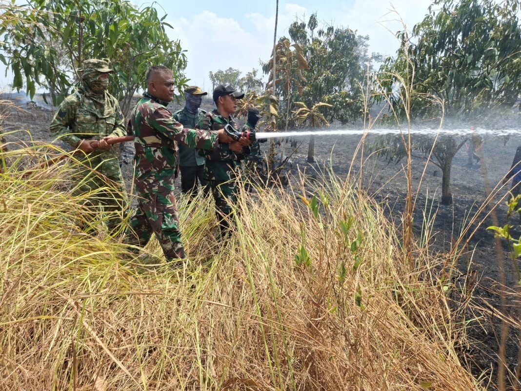 Kebakaran Lahan Hutan di Blok Cipondoh Cikawung Berhasil Dipadamkan, TNI dan Perhutani Bergerak Cepat Kebakaran Lahan Hutan di Blok Cipondoh Cikawung Berhasil Dipadamkan, TNI dan Perhutani Bergerak Cepat