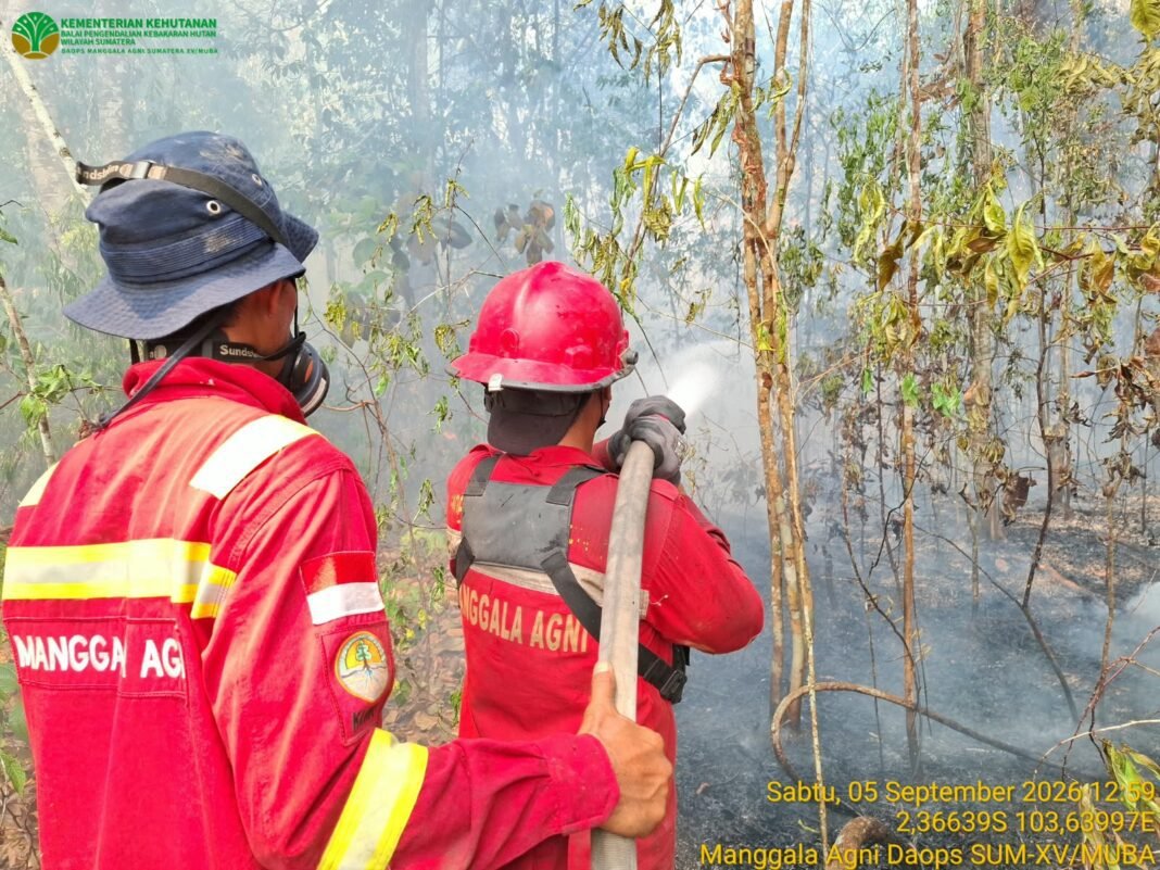 kebakaran di dusun sumpal rt 03 desa tampang baru, api mulai mereda namun belum sepenuhnya padam kebakaran di dusun sumpal rt 03 desa tampang baru, api mulai mereda namun belum sepenuhnya padam